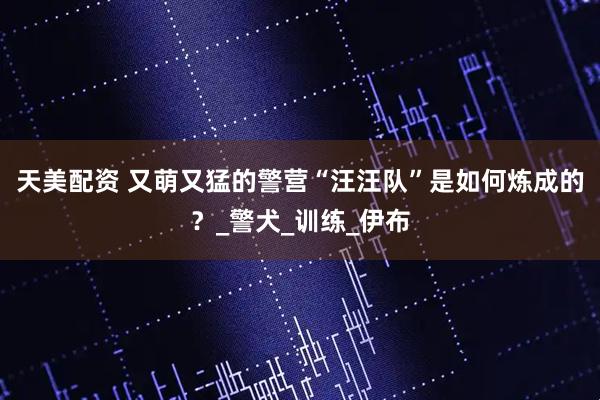 天美配资 又萌又猛的警营“汪汪队”是如何炼成的？_警犬_训练_伊布