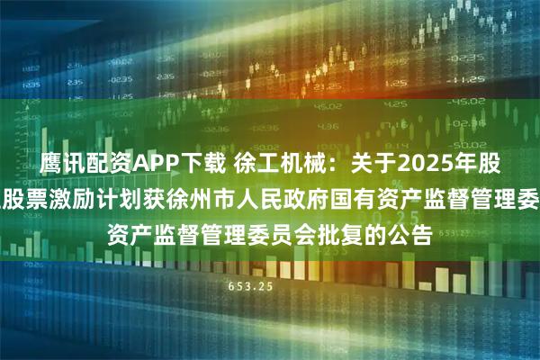 鹰讯配资APP下载 徐工机械：关于2025年股票期权与限制性股票激励计划获徐州市人民政府国有资产监督管理委员会批复的公告