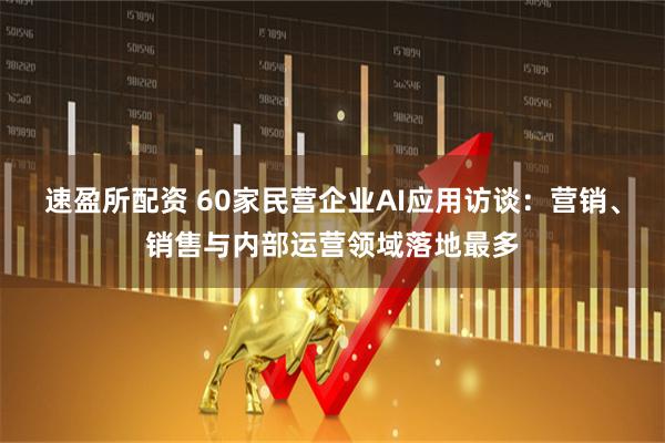 速盈所配资 60家民营企业AI应用访谈：营销、销售与内部运营领域落地最多